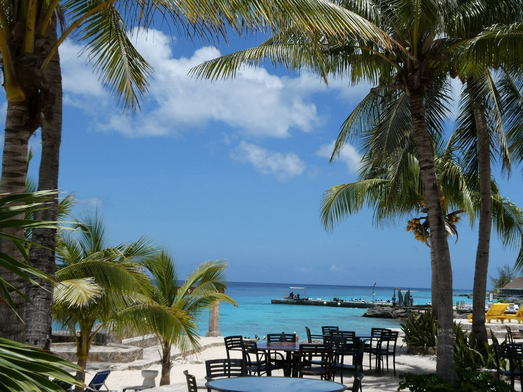 Beach Vacation Bliss: What to Pack and How to Make the Most of It